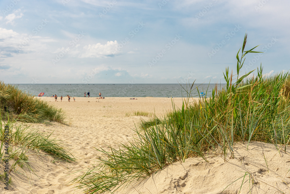 Sandy beach with grass on the seashore. Sandy beach with grass on the seashore.