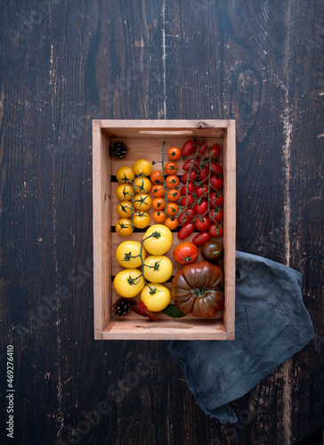 Freshly harvested tomatoes