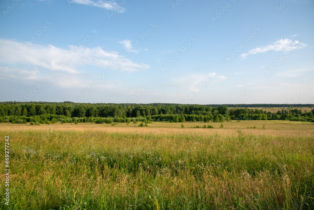 Plain, forest, field, sky with clouds