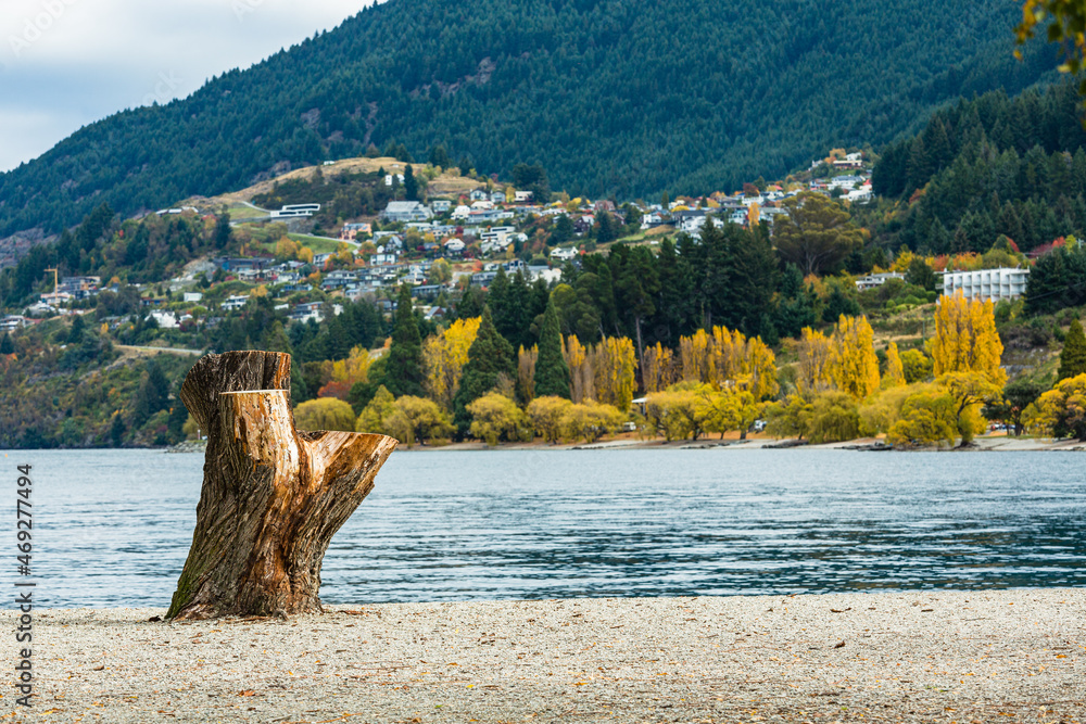 ニュージーランド　クイーンズタウンのワカティプ湖の湖畔にあるクイーンズタウン・ベイ・ビーチから見える街並みと紅葉で黄色く色付いた木々