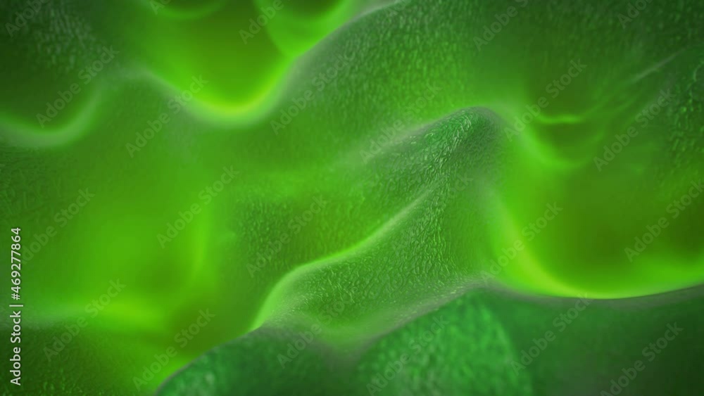 Green organic surface flowing. 3D render seamless loop animation Green organic surface flowing. 3D render seamless loop animation