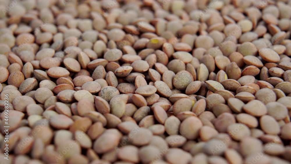 Brown dry uncooked lentils. Macro. Slow rotation. Raw legumes