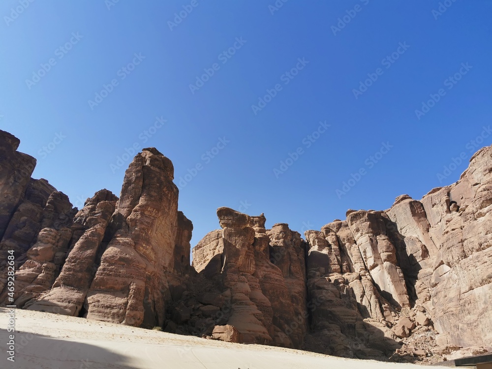 Fototapeta premium Saudi alula 