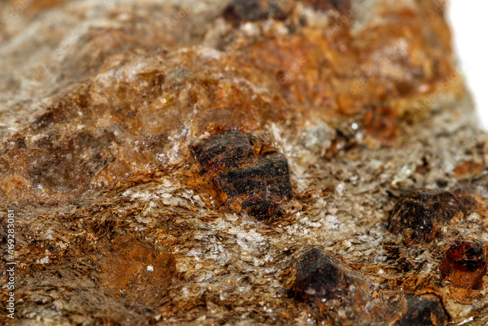Macro stone Garnet mineral in rock on a white background Macro stone Garnet mineral in rock on a white background