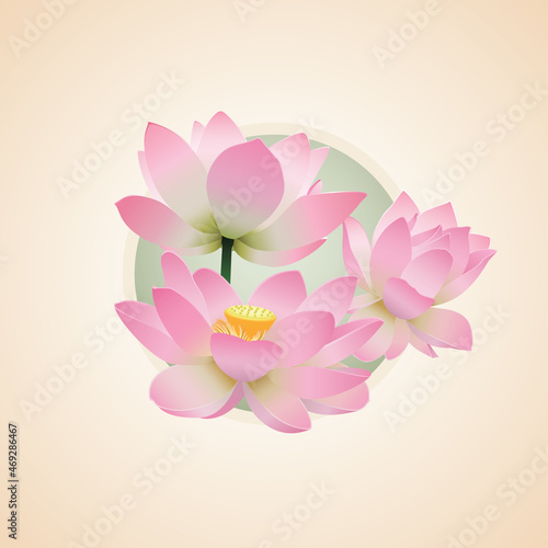 Vector pink lotus. Water lily, lotus flowers