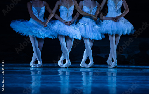 Fototapeta Naklejka Na Ścianę i Meble -  Swan Lake ballet.