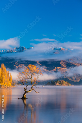 ニュージーランド オタゴ地方の早朝のワナカ湖の湖畔の紅葉で黄色に染まった木々と湖内に立つワナカ・ツリーと後ろに見える南アルプス山脈