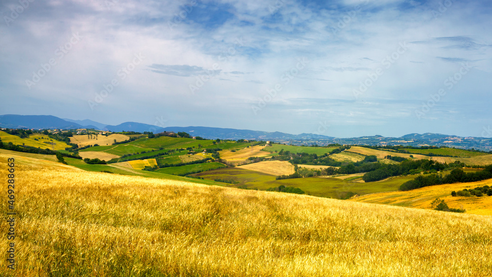 Fototapeta premium Rural landscape along the road from Fano to Mondavio, Marche