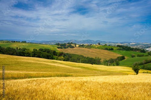 Rural landscape along the road from Fano to Mondavio  Marche