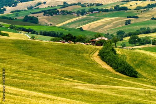 Rural landscape along the road from Fano to Mondavio  Marche