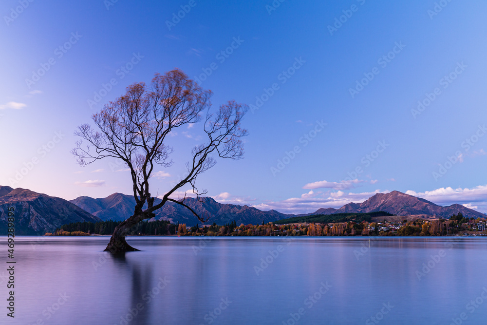 ニュージーランド　オタゴ地方の夕暮れ時のワナカ湖内に立つワナカ・ツリー