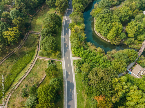 Aerial photography of China's forest road