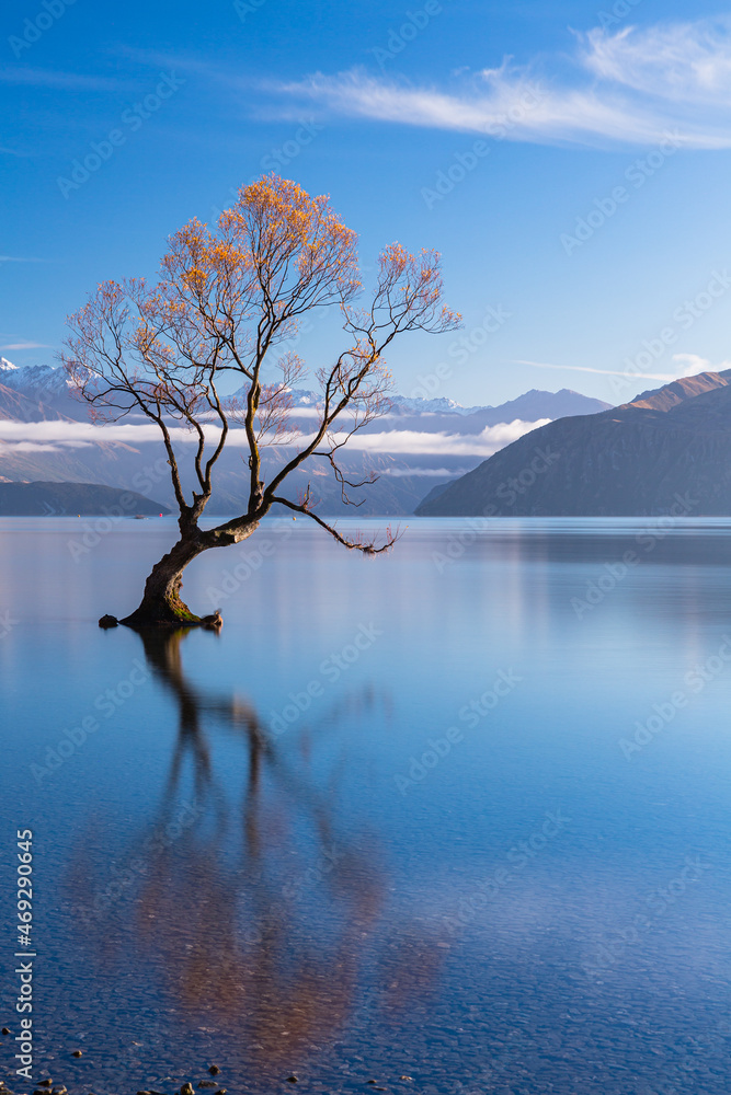 ニュージーランド　オタゴ地方の早朝のワナカ湖の湖内に立つワナカ・ツリー