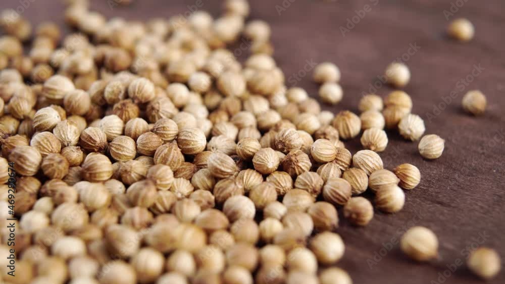 Dry cilantro seeds close up. Macro. Slow rotation. Seasoning coriander grains Dry cilantro seeds close up. Macro. Slow rotation. Seasoning coriander grains