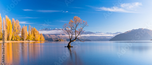 Tableau sur toile ニュージーランド　オタゴ地方の早朝のワナカ湖の湖畔の紅葉で黄色に染まった木々と湖内に立つワナカ・ツリーと後ろに見える南アルプス山脈
