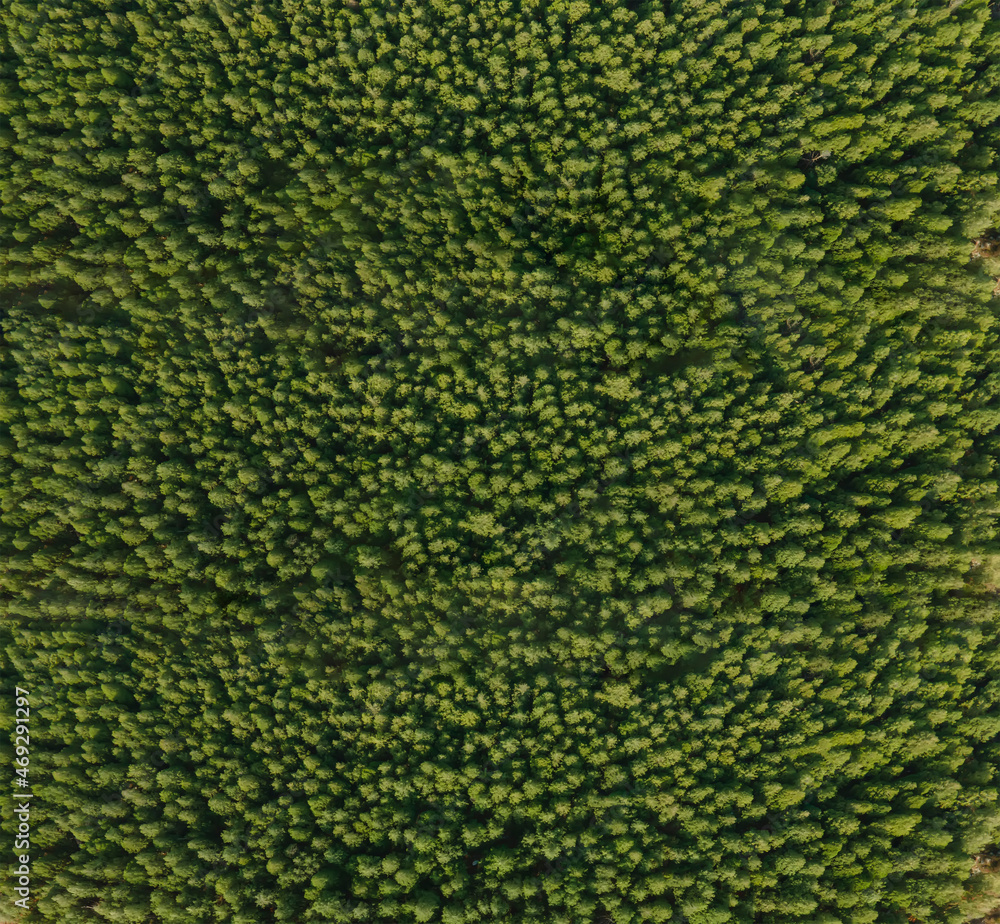 Aerial photography of natural scenery in Jinan Nanshan Park