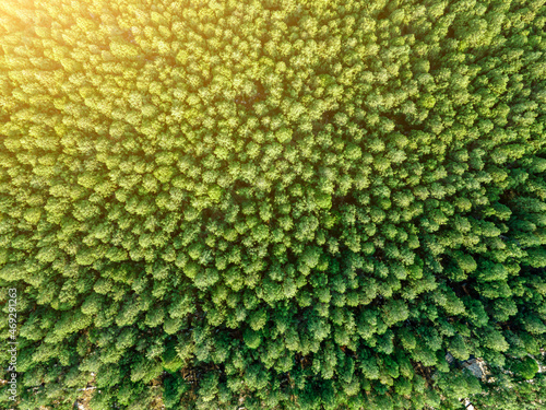 Aerial photography of natural scenery in Jinan Nanshan Park