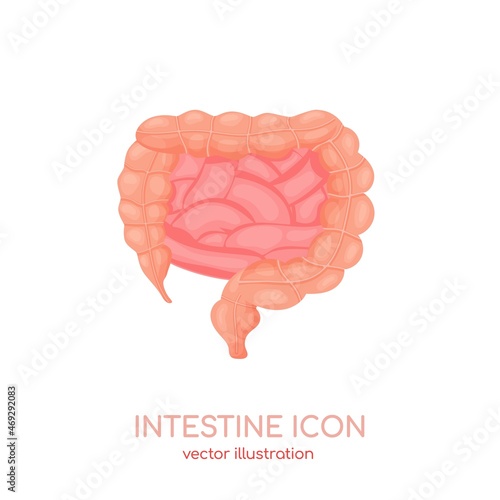 Human intestine icon. Healthy tract of digestive system, gut, bowel canal. Vector illustration for medical website, apps