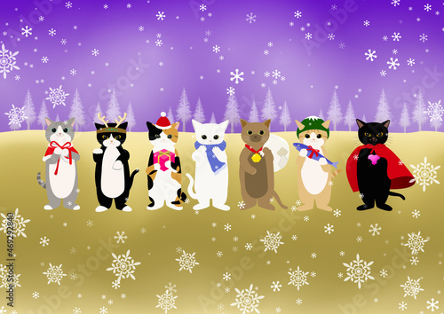 Fototapeta Naklejka Na Ścianę i Meble -  雪の降る中それぞれのクリスマスの格好をした猫が7匹