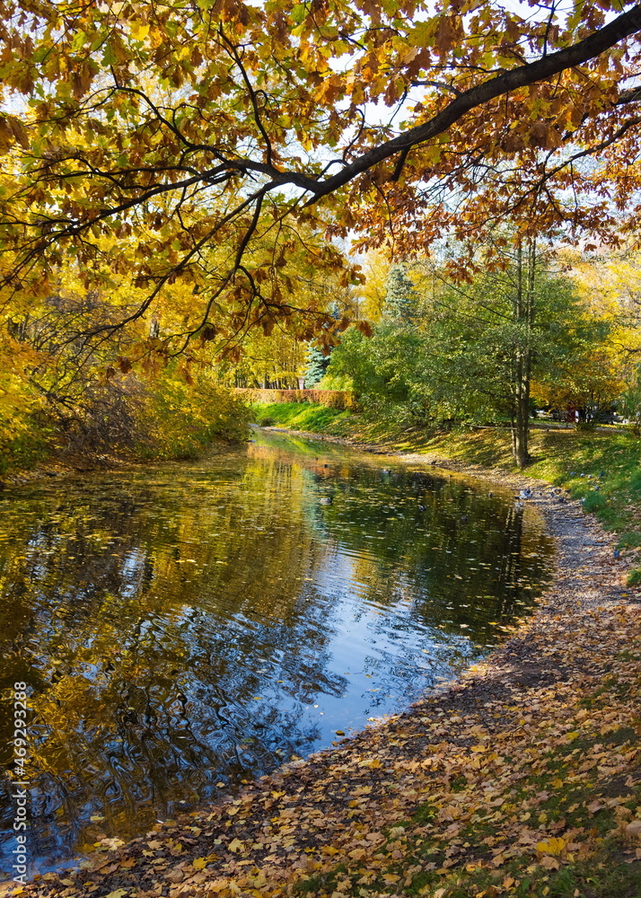 Parks of St. Petersburg. Golden autumn. Russia.