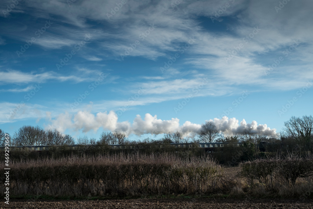 Fototapeta premium Steam train, partially hidden by trees, travels through the countryside, England, UK.