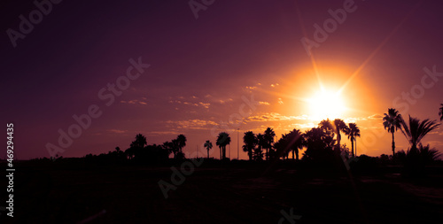 Contraluz de un atardecer sobre palmeras en tonos rojizos