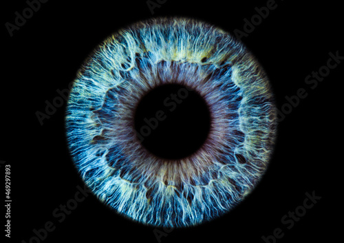 Obraz na plátně abstract blue eye