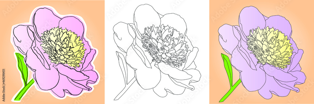 silhouette drawing of a peony on a white background, flower illustration silhouette drawing of a peony on a white background, flower illustration
