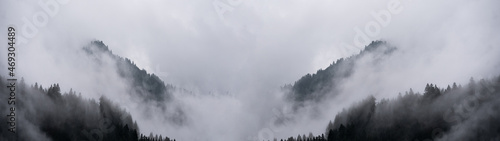 Amazing mystical rising fog forest trees landscape in black forest ( Schwarzwald ) Germany panorama banner .- dark mood