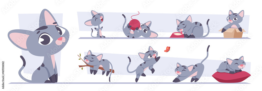 Kitten growth. Domestic cat playing in action poses animals set exact vector colored pictures - obrazy, fototapety, plakaty 