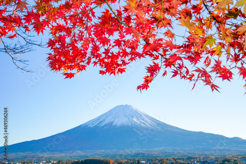 山梨県河口湖からの富士山と紅葉