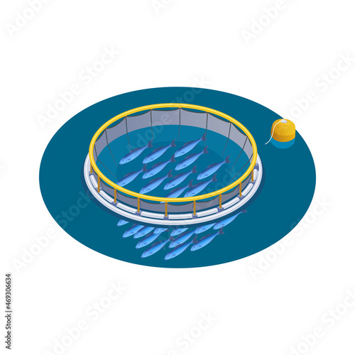 Fish Net Circle Composition