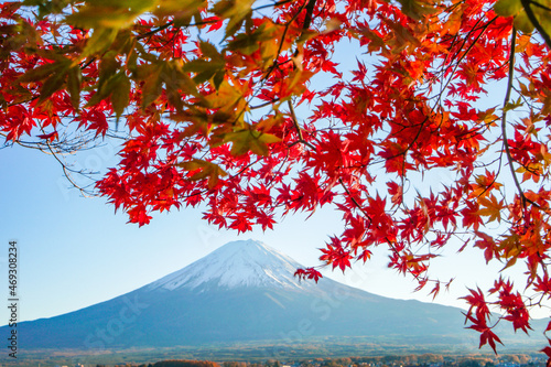 山梨県河口湖からの紅葉と富士山 © Kazu8
