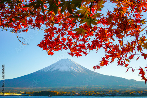 山梨県河口湖からの紅葉と富士山