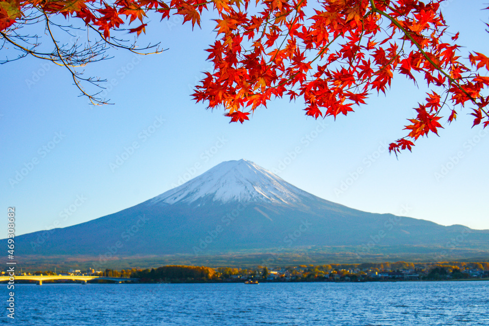 山梨県河口湖からの紅葉と富士山