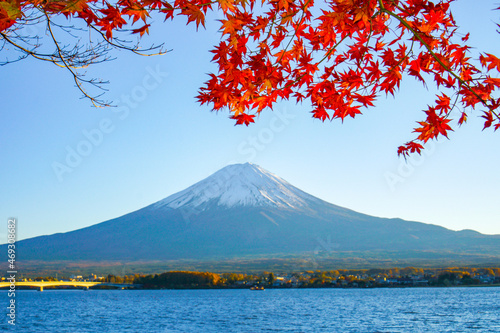 山梨県河口湖からの紅葉と富士山 © Kazu8
