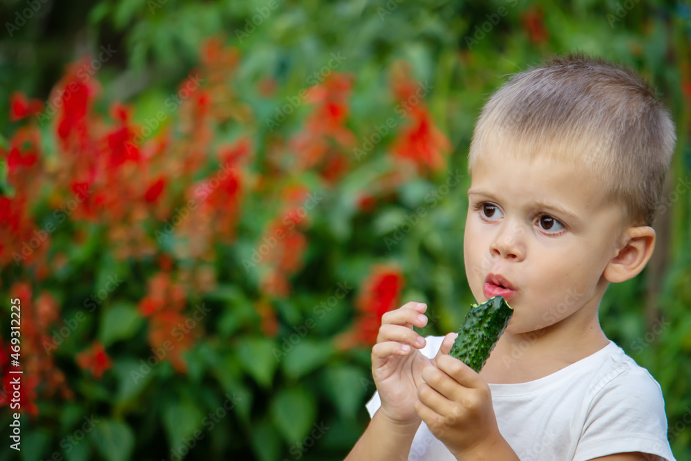 vegetables in the hands of children on the farm. Selective focus vegetables in the hands of children on the farm. Selective focus