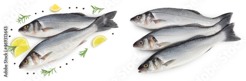 Sea bass fich isolated on white background with clipping path. Top view. Flat lay. Set or collection