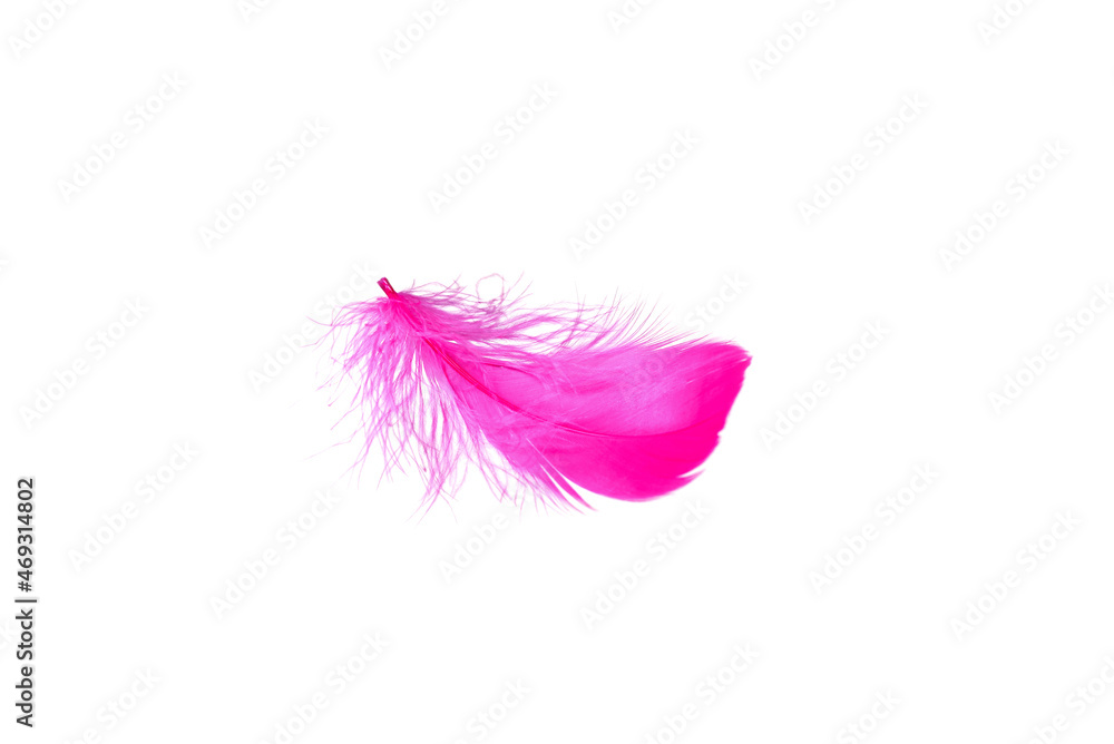 Pink feather isolated on white background. Pink feather isolated on white background.