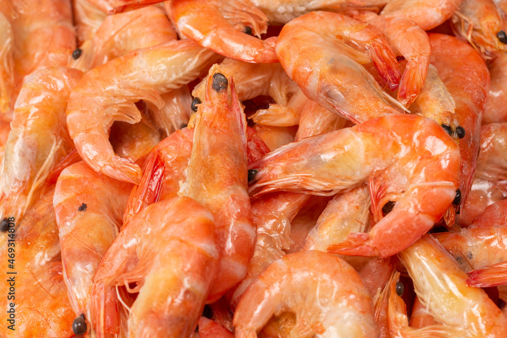 Shrimps background texture. A lot of shrimps. Cooked shrimps. Shrimps background texture. A lot of shrimps. Cooked shrimps.