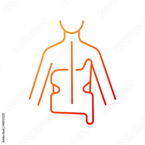 Scoliosis brace gradient linear vector icon. Spine curve correction. Spinal deformation prevention. Backbone orthosis. Thin line color symbol. Modern style pictogram. Vector isolated outline drawing