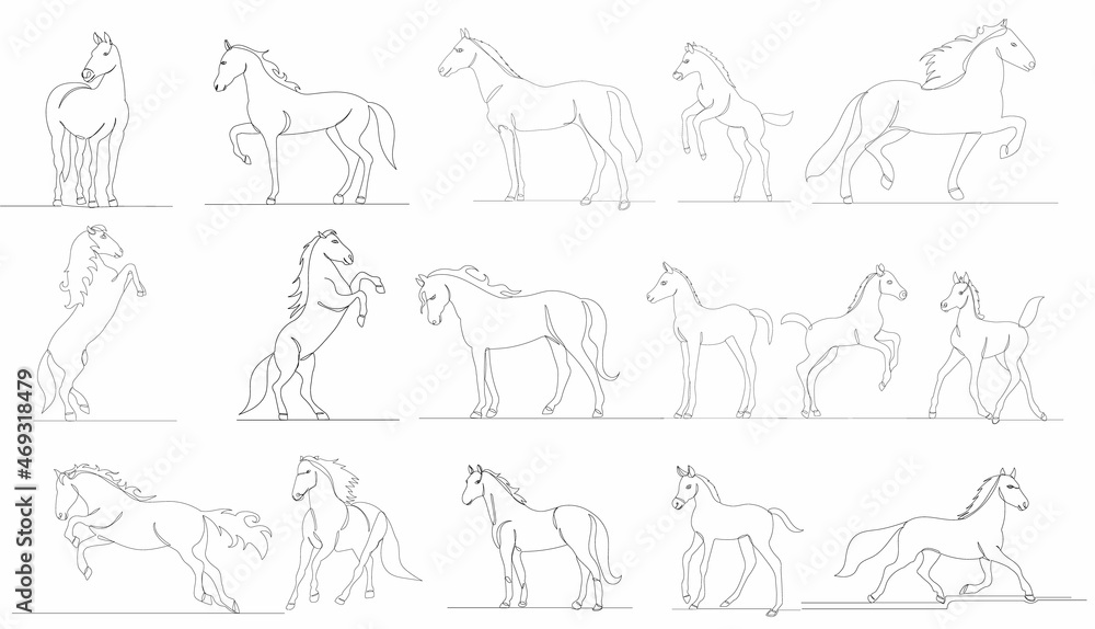 horses set drawing one continuous line vector, isolated