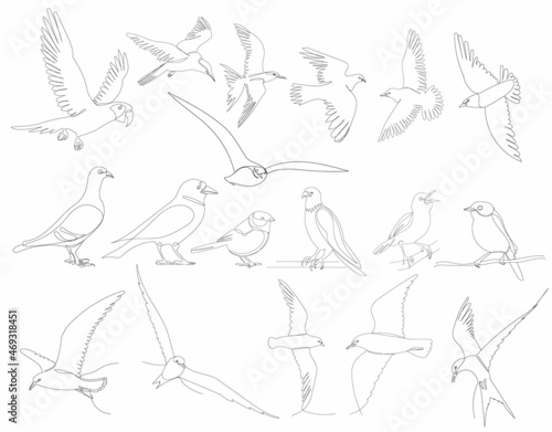 birds set drawing one continuous line vector, isolated