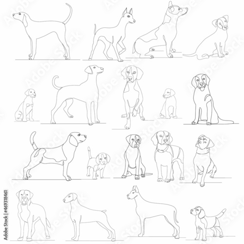 dogs set drawing one continuous line vector, isolated © zolotons