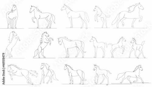horses set drawing one continuous line vector, isolated
