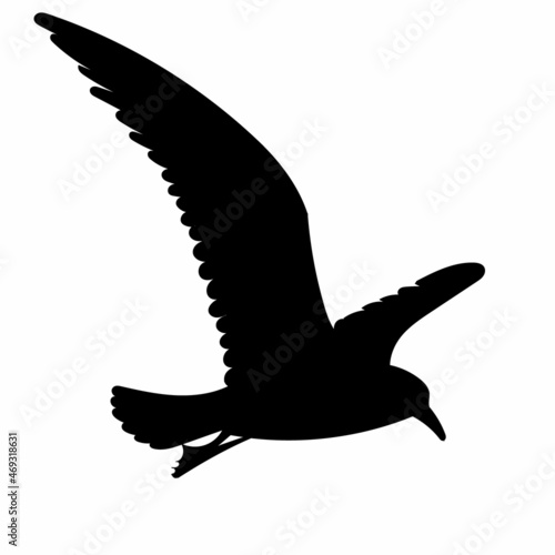 bird flies, black silhouette vector, isolated