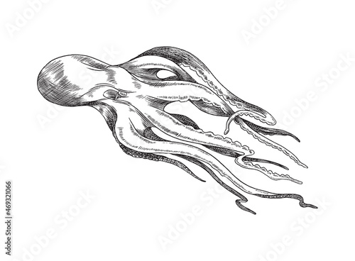 Marine octopus or devilfish swimming, engraving vector illustration isolated.