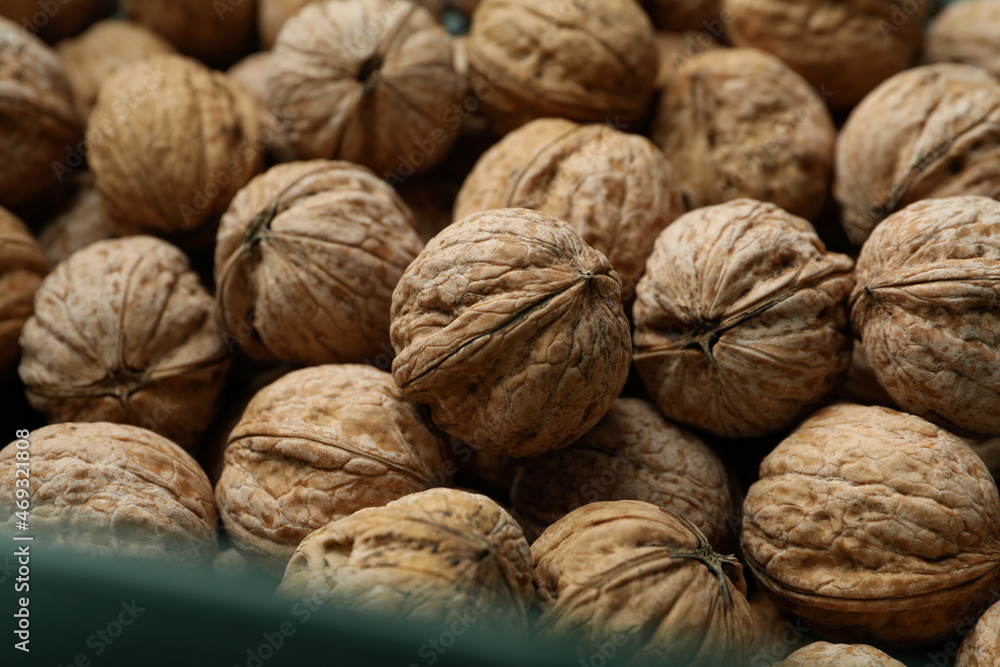 Lots of walnuts in plastic box, close up Lots of walnuts in plastic box, close up
