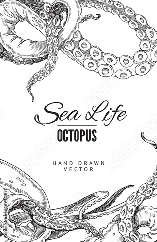 Octopus tentacle banner template in sketch style, vector illustration on white background.