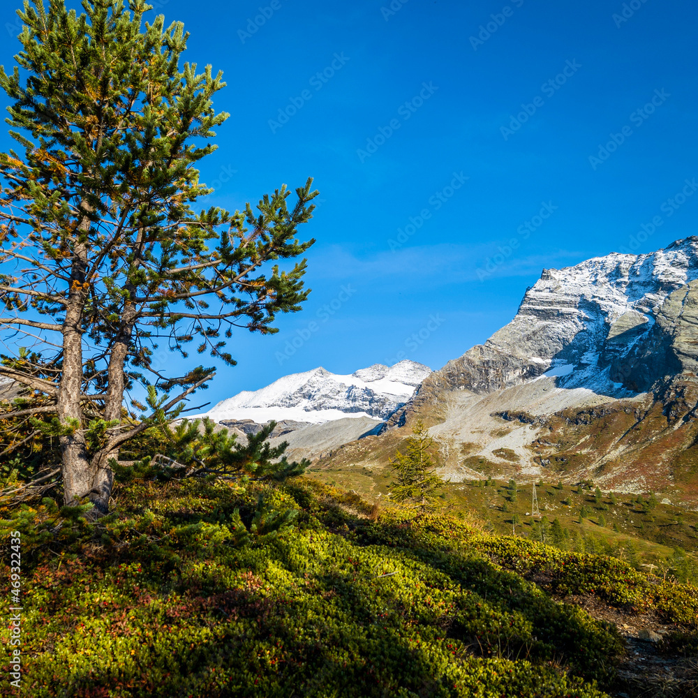 Fototapeta premium landscape with sky